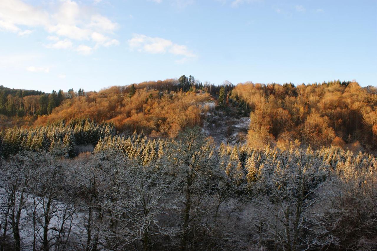 Le P'Tit Gite De Chomet La Tour-dʼAuvergne Esterno foto
